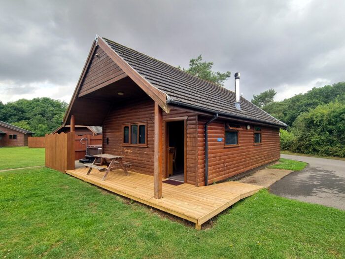 Willow 4 - Image 9