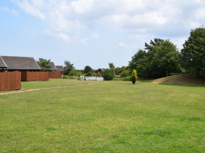Willow Plus 2 - Image 8